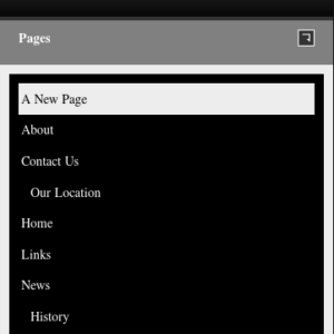 Menu in mobile phone view