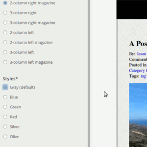 JGD-BizElite- Style and Layout options