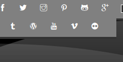 Social profile icons