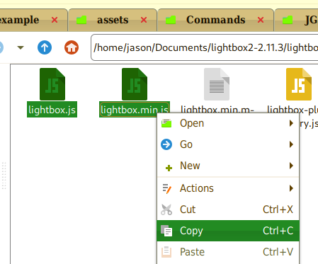Copying Lightbox JavaScript files