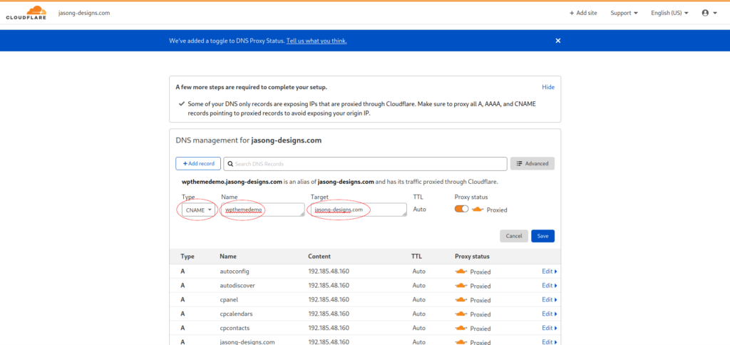 DNS record information for the subdomain